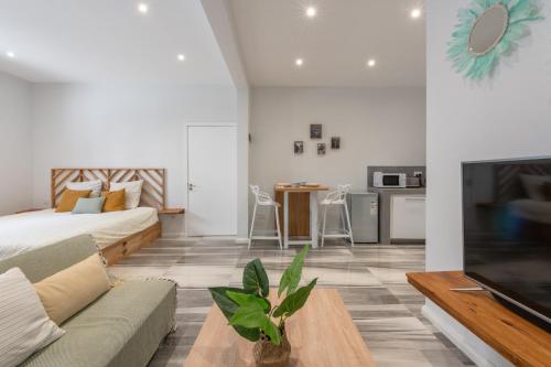 LeCosyCanonniersStudio4