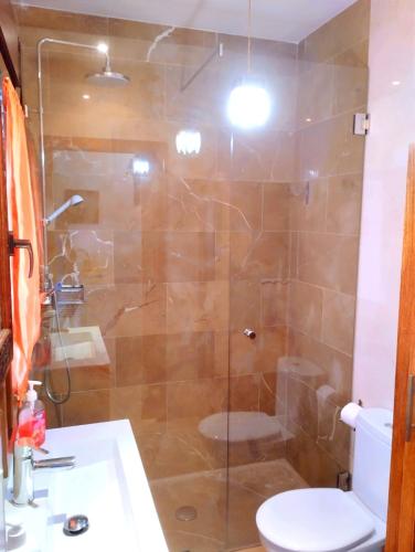 a bathroom with a shower with a toilet and a sink at Casita de ensueño en Ronda in Ronda