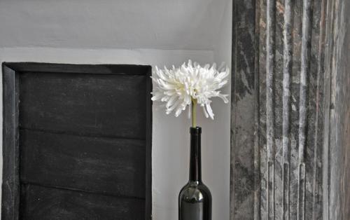 a vase with a flower in it next to a wall at Suite Voltaire in Carcassonne