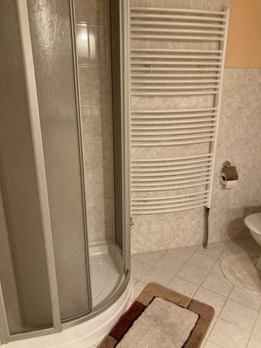 łazienka z prysznicem, toaletą i dywanem w obiekcie Apartmán Na Ostrově Beroun w mieście Beroun