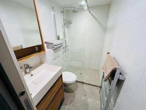 ein Bad mit einem Waschbecken, einem WC und einer Dusche in der Unterkunft St Dominique - Vue Tour Eiffel in Paris