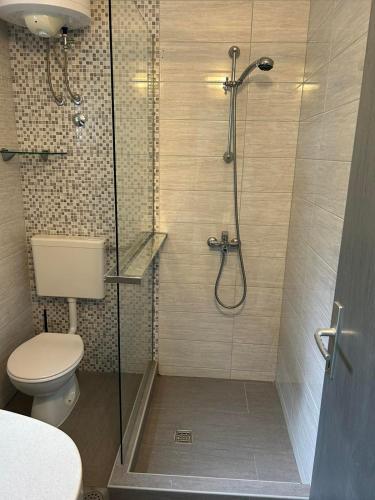 a bathroom with a shower with a toilet and a sink at House Matusko in Saplunara