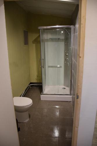 a bathroom with a shower and a toilet at camping family room in Ter Aar