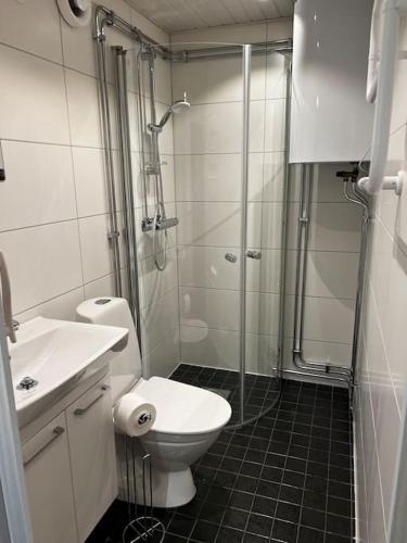 een badkamer met een douche, een toilet en een wastafel bij Stuga i Transtrand in Transtrand