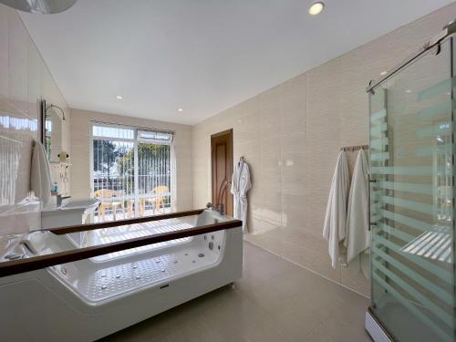 bagno con lavandino e doccia in vetro di Wellness Park Hotel Gagra All-Inclusive a Gagra