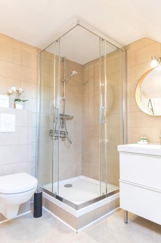 a bathroom with a shower with a toilet and a sink at Auguste, La Romaine et My César - Location Saverne in Saverne