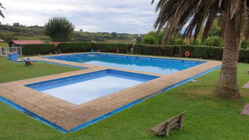 a large swimming pool in a yard with a palm tree at Kampaoh Santillana del Mar in Santillana del Mar