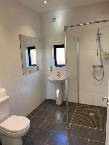 a bathroom with a toilet and a sink and a shower at Yorkshire Dales Lodge 5 by Together Travel - 3-Bed Family Retreat in Richmond
