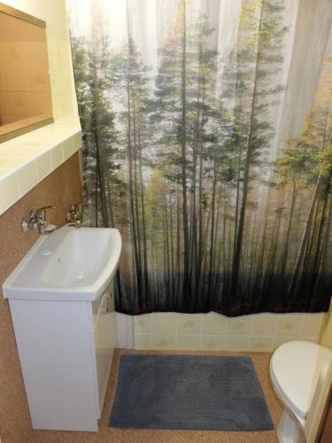 uma casa de banho com um lavatório e uma cortina de chuveiro em Chata Štebôtka s jacuzzi em Nálepkovo