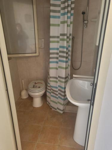 ein Bad mit einem WC und einem Duschvorhang in der Unterkunft La casetta in San Vito Chietino