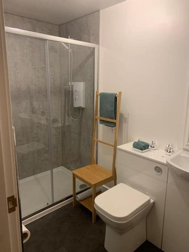 a bathroom with a shower and a toilet and a sink at Cruachan Cabin in Skeabost