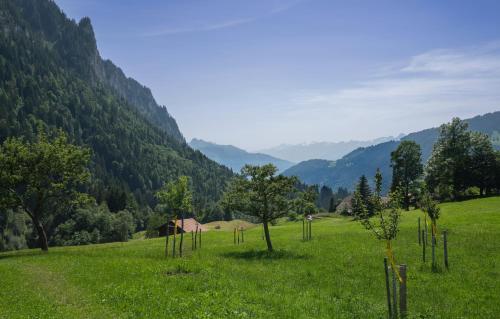 a field of green grass with trees and mountains at Gästehaus Hof Maiezyt in Habkern