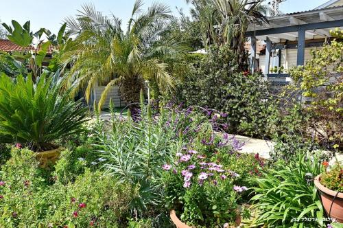 a garden with many different plants and flowers at אחוזת אלכסנדר in Elifelet