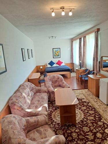 Hasičský hotel Přibyslav في Přibyslav: غرفة معيشة مع أريكة وسرير