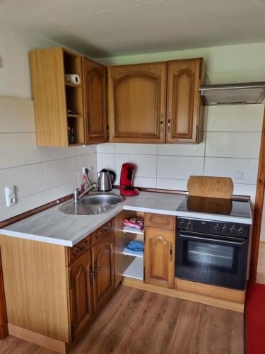 a small kitchen with wooden cabinets and a sink at Ferienwohnung Editha mit Wintergarten in Katzow