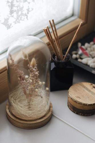 a glass jar with a plant in it on a counter at Apartamenti Nr. 33 in Talsi