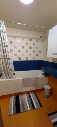 Zimmer mit Badewanne, Fenster und Teppich in der Unterkunft Le Gambetta T2 Cosy Hypercentre WIFI Fibre avec parking in Pau