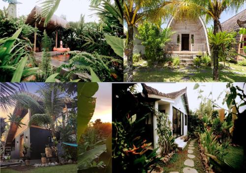 a collage of photos of a house and a garden at Ayumar Homestay Medewi in Pulukan