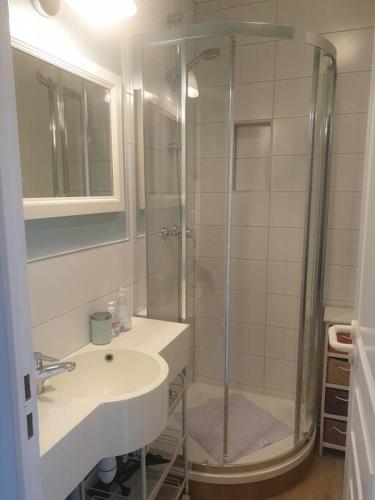 une salle de bain avec douche et lavabo dans l'établissement Jolie maison sur golf, proche plage, Fort-Mahon, à Fort-Mahon-Plage