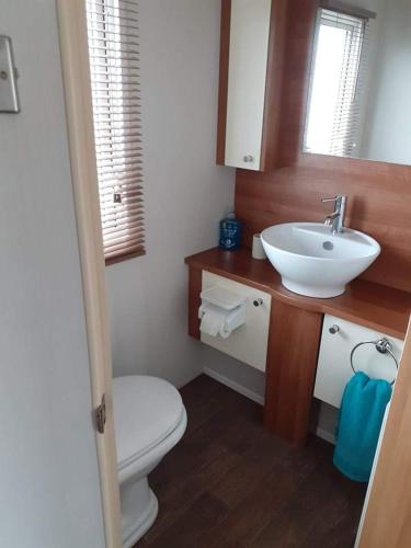 a bathroom with a white toilet and a sink at 19 orchid Meadows in Newbiggin-by-the-Sea