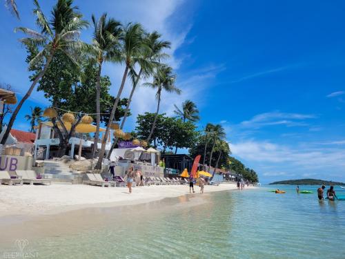 a beach with palm trees and people in the water at Elephant Beach Club & Resort Samui in Chaweng