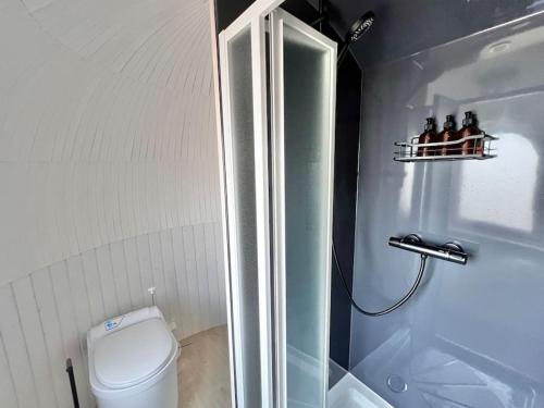 uma pequena casa de banho com chuveiro e WC em Y Caban - A Luxury Rural Retreat with Seaviews em Amlwch