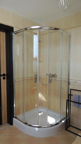 a shower with a glass enclosure in a room at Zielone Tarasy na Kaszubach in Sikorzyno