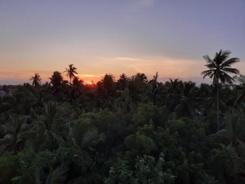 a sunset over a field of palm trees at Holi-Wood Guesthouse in Puducherry