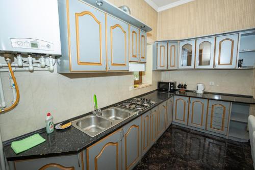 a kitchen with a sink and a stove at Barnaba Apartment in Tbilisi City