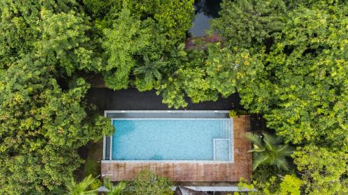 an overhead view of a swimming pool surrounded by trees at Blu Monkey Pooltara Krabi Hotel & Villas Pet Friendly in Tha Lane Bay
