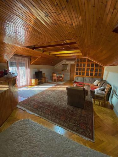 特雷比涅的住宿－Apartman Neno，带沙发和地毯的客厅