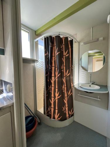 een kleine badkamer met een wastafel en een spiegel bij Le Camping de la Plage in Aregno