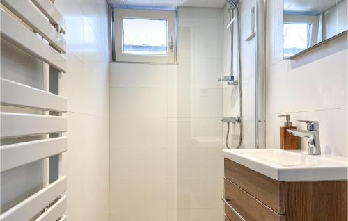 Oostwoud的住宿－Lovely Home In Oostwoud With Wifi，一间带水槽和淋浴的浴室