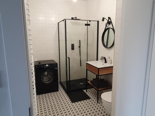 La salle de bains est pourvue d'un lave-linge et d'un lavabo. dans l'établissement Apartament Business Sienkiewicza, à Leszno