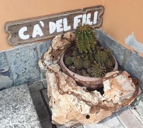 a plant in a pot next to a sign on a wall at Cà del Fili in Lenno