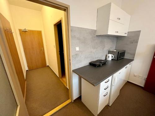 a small kitchen with a counter and a microwave at Holiday home Prague in Prague