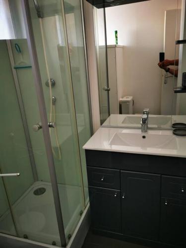 bagno con doccia in vetro e lavandino di Appartement lumineux 2 pièces, 4 couchages a Saint-Jean-de-Monts