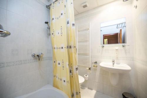 uma casa de banho com um lavatório, um chuveiro e um WC. em Spa Hotel Bily Horec em Harrachov