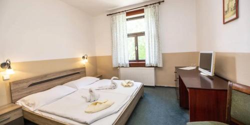a bedroom with a bed and a desk and a television at Spa Hotel Bily Horec in Harrachov