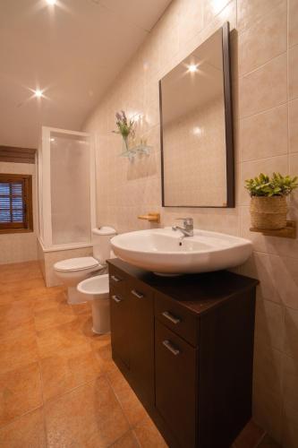 a bathroom with a sink and a toilet and a mirror at Casas Rurales Los Olivos in Alcalá del Júcar