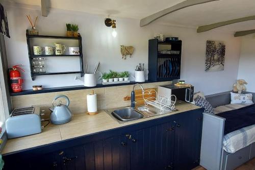 a kitchen with a sink and a counter top at The Cloves Farm Shepherd’s Hut in Lydford