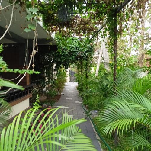 a garden with green plants and a walkway at Leaf Garden Retreat in Varkala