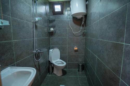 a bathroom with a toilet and a sink at SAKREFELA in K'eda