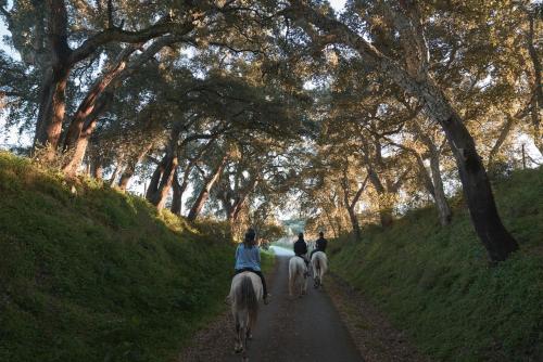 three people riding horses down a path with trees at L'AND Vineyards - Relais & Châteaux in Montemor-o-Novo