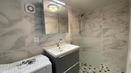 une petite salle de bain avec un lavabo et un miroir dans l'établissement Appartement Palmier, à Sanary-sur-Mer