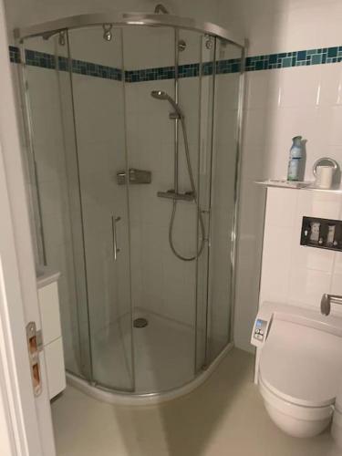 La salle de bains est pourvue d'une douche et de toilettes. dans l'établissement Appartement studio neuf avec parking à 50m de la plage, à Cannes