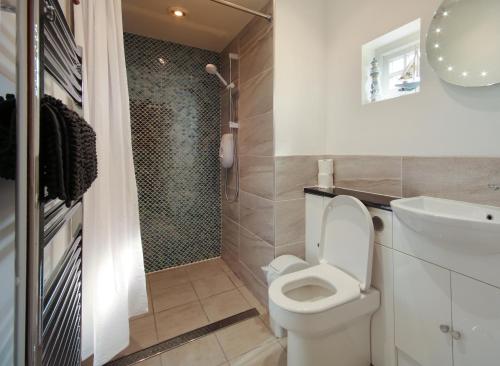 a bathroom with a toilet and a shower and a sink at Nisbet's Tower in Eyemouth