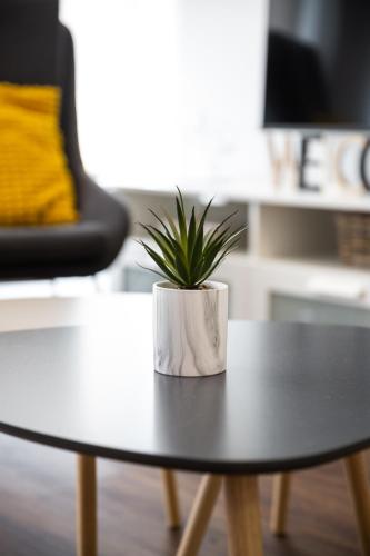 a potted plant sitting on top of a table at Apt nuevo! 2 hab, baño doble, garaje, Metro a 200m in Madrid