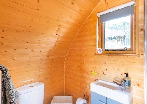 a bathroom with a toilet and a sink and a window at 68 Degrees West Glamping in Brecon