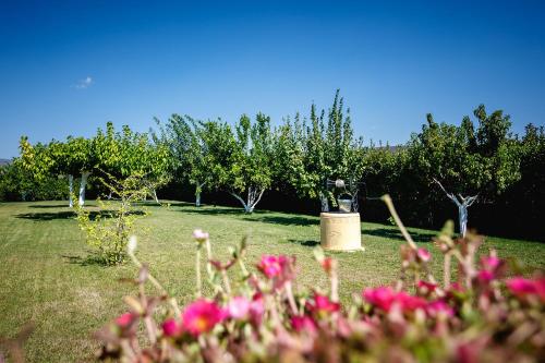 Fotografie z fotogalerie ubytování Gravaris House v destinaci Nafplio